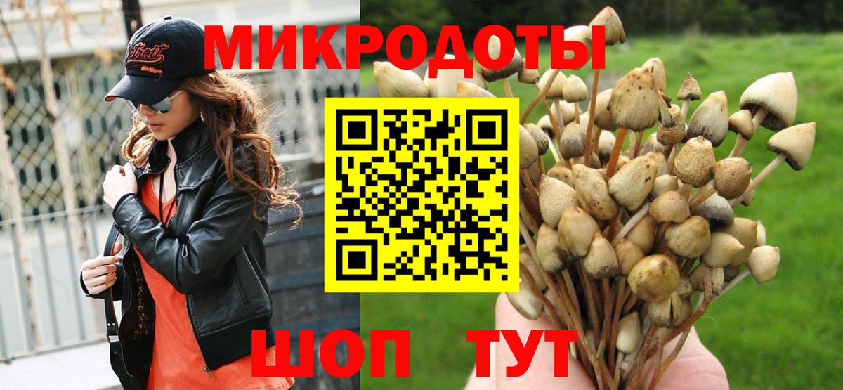 Кинешма  Псилоцибиновые грибы Cubensis  Вход с VPN  Галлюциногенные грибы мухоморы 