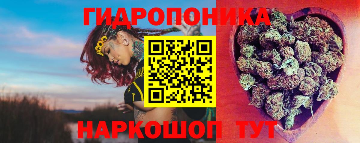 Бошки марихуана ГИДРОПОН Кинешма